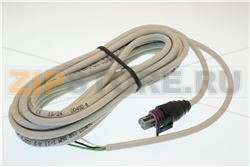 SPKC005310 CAVO + CONNETTORE 5m 