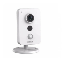 IP-камера Dahua DH-IPC-K22P