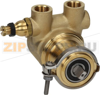 ОБЪЕМНЫЙ НАСОС ROTOFLOW Ø 3/8&quot; GAS 