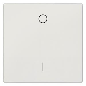 DELTA STYLE КЛАВИША I/0 ПЛАТИНОВЫЙ МЕТАЛЛИК Siemens 5TG7142-1 