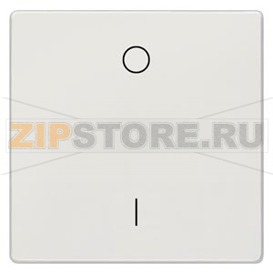 DELTA STYLE КЛАВИША I/0 ПЛАТИНОВЫЙ МЕТАЛЛИК Siemens 5TG7142-1 