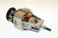 MOTORE 10 DENTI