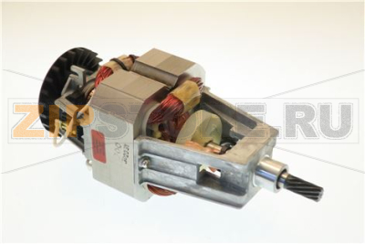 MOTORE 10 DENTI 