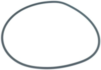 GUARNIZIONE OR 111x3 mm