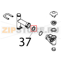 Guarnizione sifone Angelo Po FX201G3