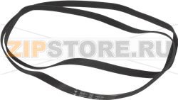BELT HUTCHINSON 1936 H8 