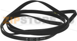 BELT 1915 H6 