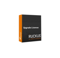 Лицензия Ruckus BR-ICX-7150-41U410R-P-01