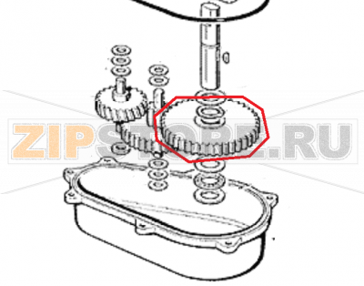 Getrieberand  Scotsman MF 56     Getrieberand Scotsman MF 56Запчасть на 
