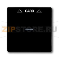 Накладка для карточного выключателя ABB 2CKA001710A3933