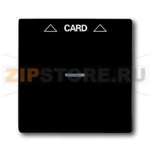 Накладка для карточного выключателя ABB 2CKA001710A3933 