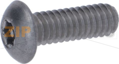 SCREW 