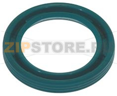 ANELLO ELASTICO 