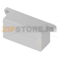 Носитель данных СВЧ (860...960 МГц) Balluff BIS018F