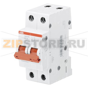 Рубильник двухполюсный 63 A, SHD202/63 ABB 2CDD272111R0063 