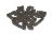 CATENA
