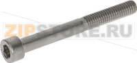 CYLINDER HEAD SCREW M6x55