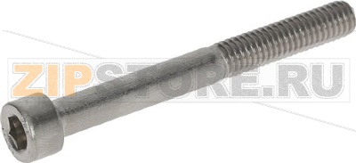 CYLINDER HEAD SCREW M6x55 