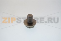 ВИНТ С ШЕСТИГРАННОЙ ГОЛОВКОЙ M8X10 - 5шт RATIONAL 10.01.162P