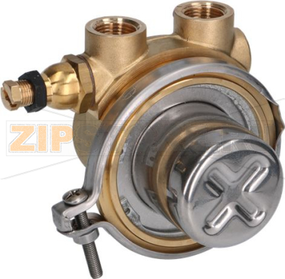 ОБЪЕМНЫЙ НАСОС ROTOFLOW Ø 3/8&quot; GAS 