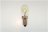 LAMPADA