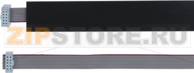 10-WAY CABLE FOR MYTHOS 