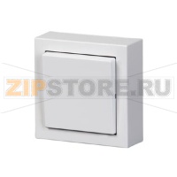 Переключатель, монтаж: накладной, белый ABB 2TKA00001601