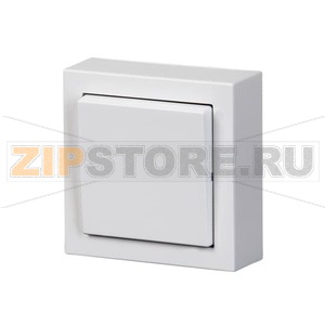 Переключатель, монтаж: накладной, белый ABB 2TKA00001601 