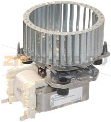 MOTOR WITH PROPELLER 