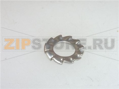 RONDELLA DENTELLATA INOX ø 5 mm 