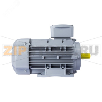 Электродвигатель 2.2 кВт, 220/380 В, 3000 об/мин, IP55 ESQ 01.05.02.000007 