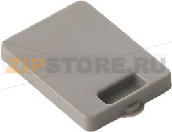 CAP BOSCH 10008279 