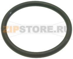 GUARNIZIONE RESISTENZA 