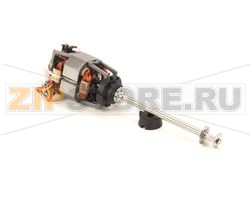 GRUPPO MOTORE, 120 V 