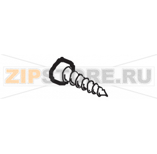 Vite panelvit TCB 3 x 10 DIN 7505 Saeco Vienna Digital Vite panelvit TCB 3 x 10 DIN 7505 Saeco Vienna Digital

Запчасть на сборочном чертеже под номером: 44

Название запчасти Saeco на итальянском языке: Vite panelvit TCB 3 x 10 DIN 7505 Saeco Vienna Digital