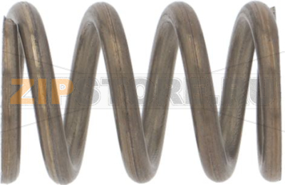 SPARE SPRING FOR SHOWER BODY 