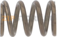 SPARE SPRING FOR SHOWER BODY