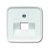 Накладка для однопостовой розетки с полем для надписи ABB 2CKA001753A8394