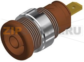 Гнездо 25 А, 1 кВ, коричневое Hirschmann SEB 2610 F48 BRAUN / BROWN 