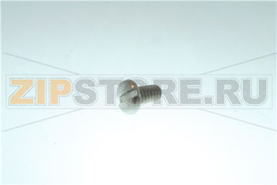 SCREW 