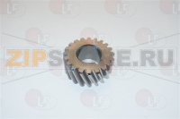 TC22/32 PIGNONE CENTRALE