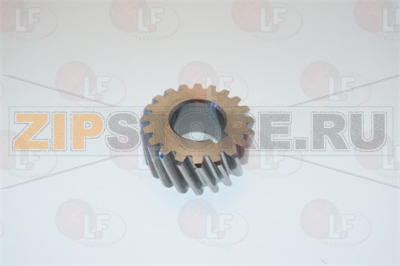TC22/32 PIGNONE CENTRALE 