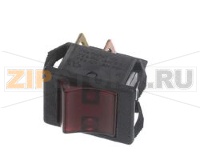 SW,RKR DPDT W/LAMP 120V R