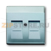 Накладка для коммуникационных розеток с суппортами и полем для надписи, серебристый алюминий ABB 2CKA001710A3676