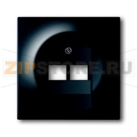 Накладка для двухпостовой розетки с полем для надписи ABB 2CKA001753A0161