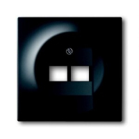 Накладка для двухпостовой розетки с полем для надписи ABB 2CKA001753A0161