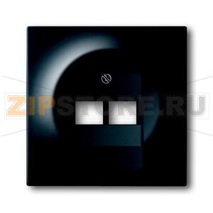 Накладка для двухпостовой розетки с полем для надписи ABB 2CKA001753A0161 