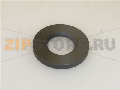 MOTOR SHAFT SEAL FGC060 