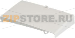 FILTER INSPECTION DOOR BOSCH 00640711 