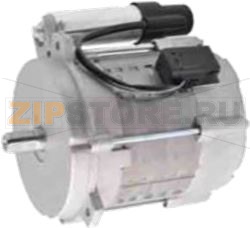 MOTOR FHP 230V 160W 